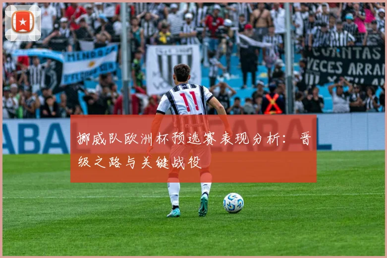 挪威队欧洲杯预选赛表现分析：晋级之路与关键战役