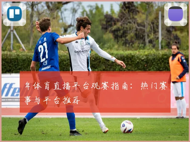年体育直播平台观赛指南:热门赛事与平台推荐